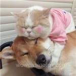 Avatar de Inés Cazares